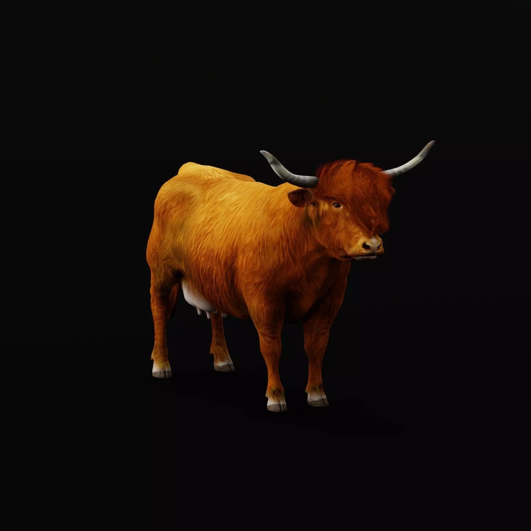 Highland Cattle 3D Model – Low Poly Game Ready Rigged Animal - View 12