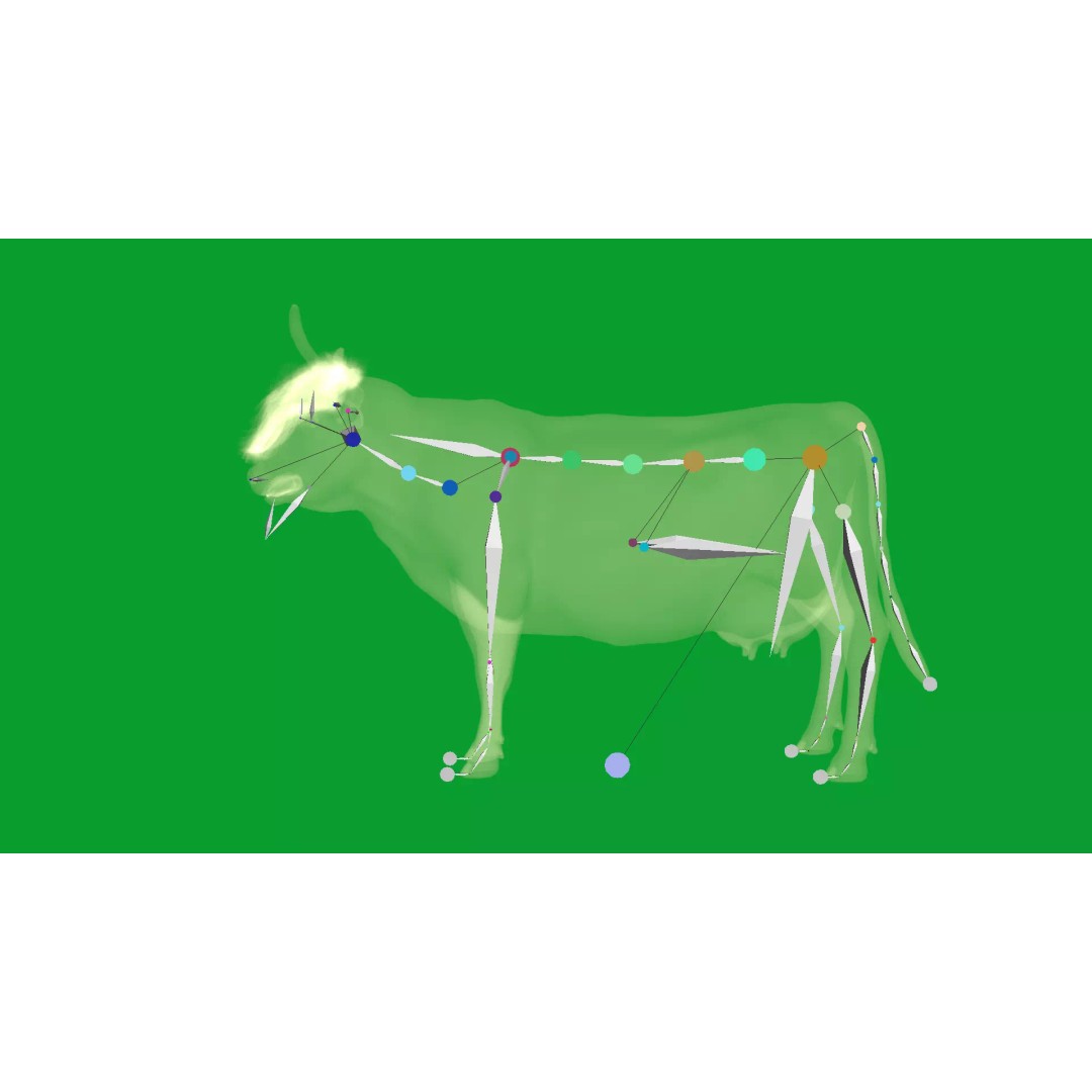 Highland Cattle 3D Model – Low Poly Game Ready Rigged Animal - View 18