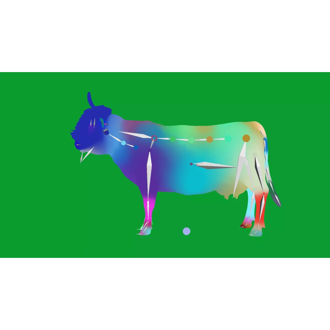 Highland Cattle 3D Model – Low Poly Game Ready Rigged Animal - View 19