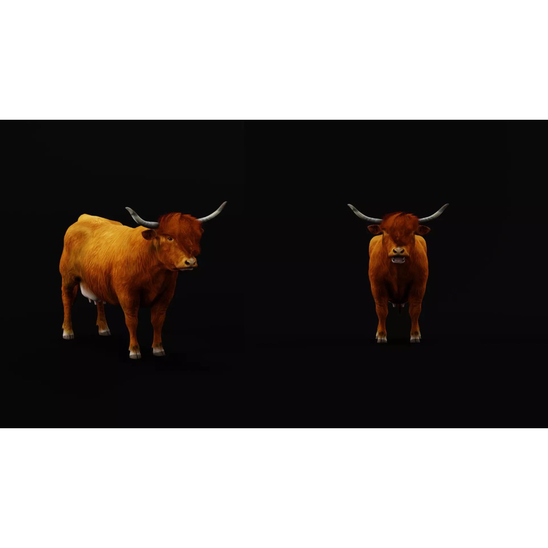 Highland Cattle 3D Model – Low Poly Game Ready Rigged Animal - View 21