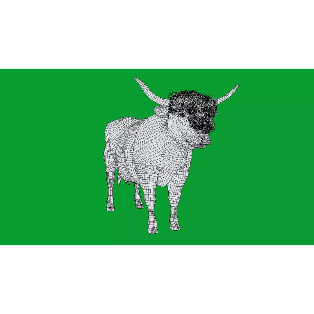 Highland Cattle 3D Model – Low Poly Game Ready Rigged Animal - View 27