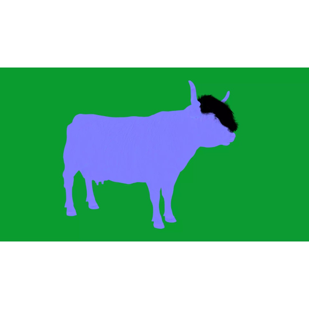 Highland Cattle 3D Model – Low Poly Game Ready Rigged Animal - View 28