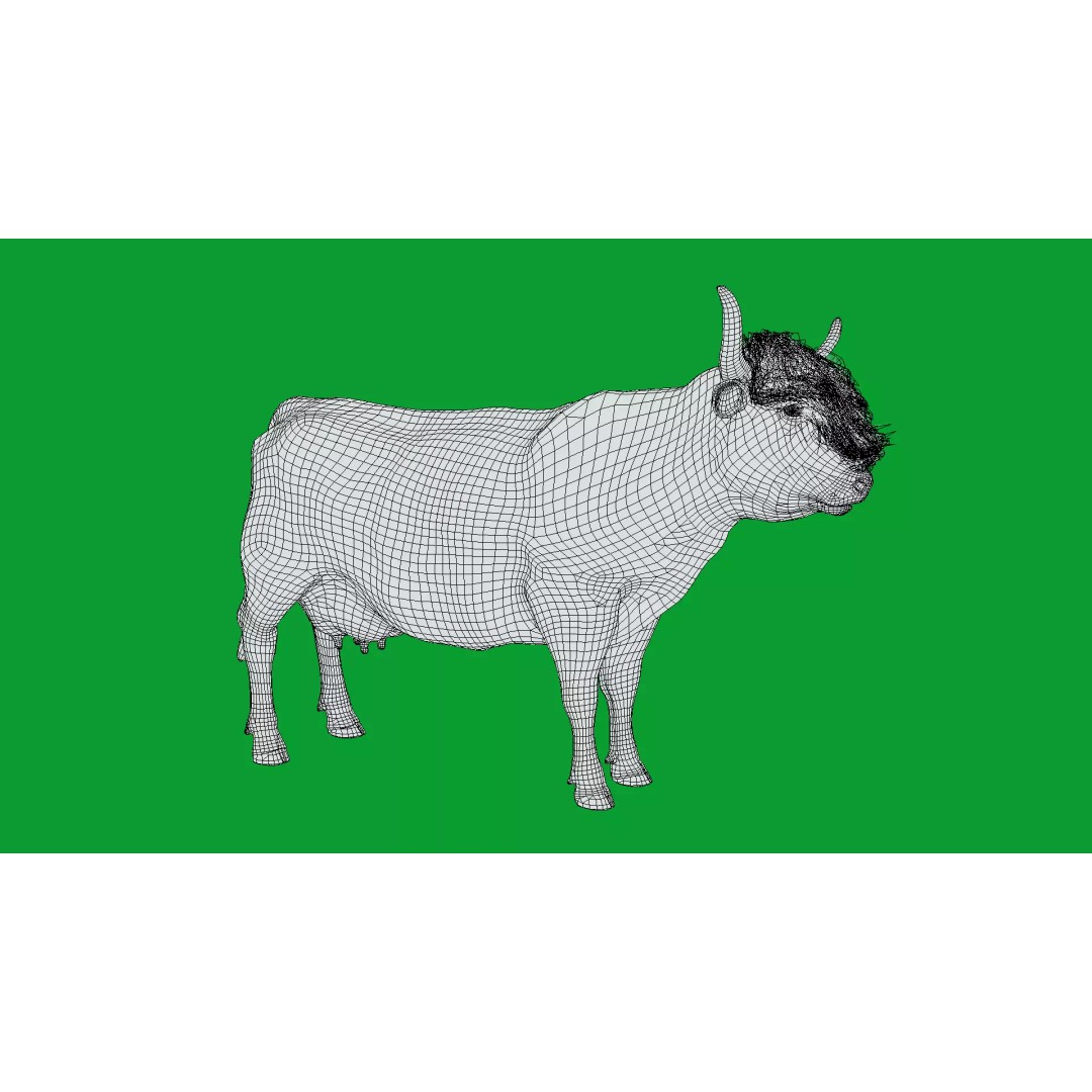 Highland Cattle 3D Model – Low Poly Game Ready Rigged Animal - View 30