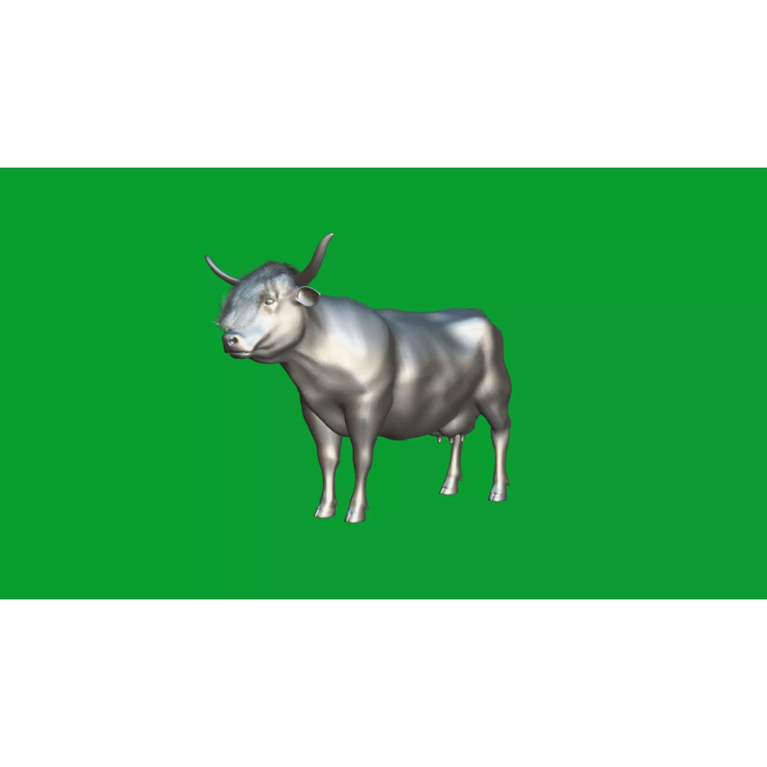 Highland Cattle 3D Model – Low Poly Game Ready Rigged Animal - View 31
