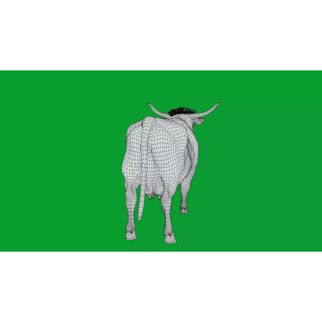 Highland Cattle 3D Model – Low Poly Game Ready Rigged Animal - View 34