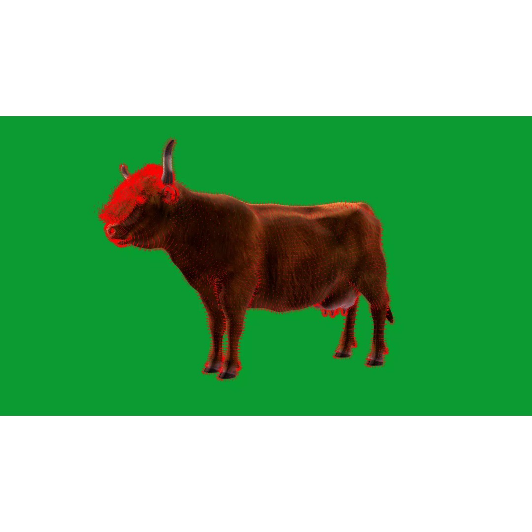 Highland Cattle 3D Model – Low Poly Game Ready Rigged Animal - View 38