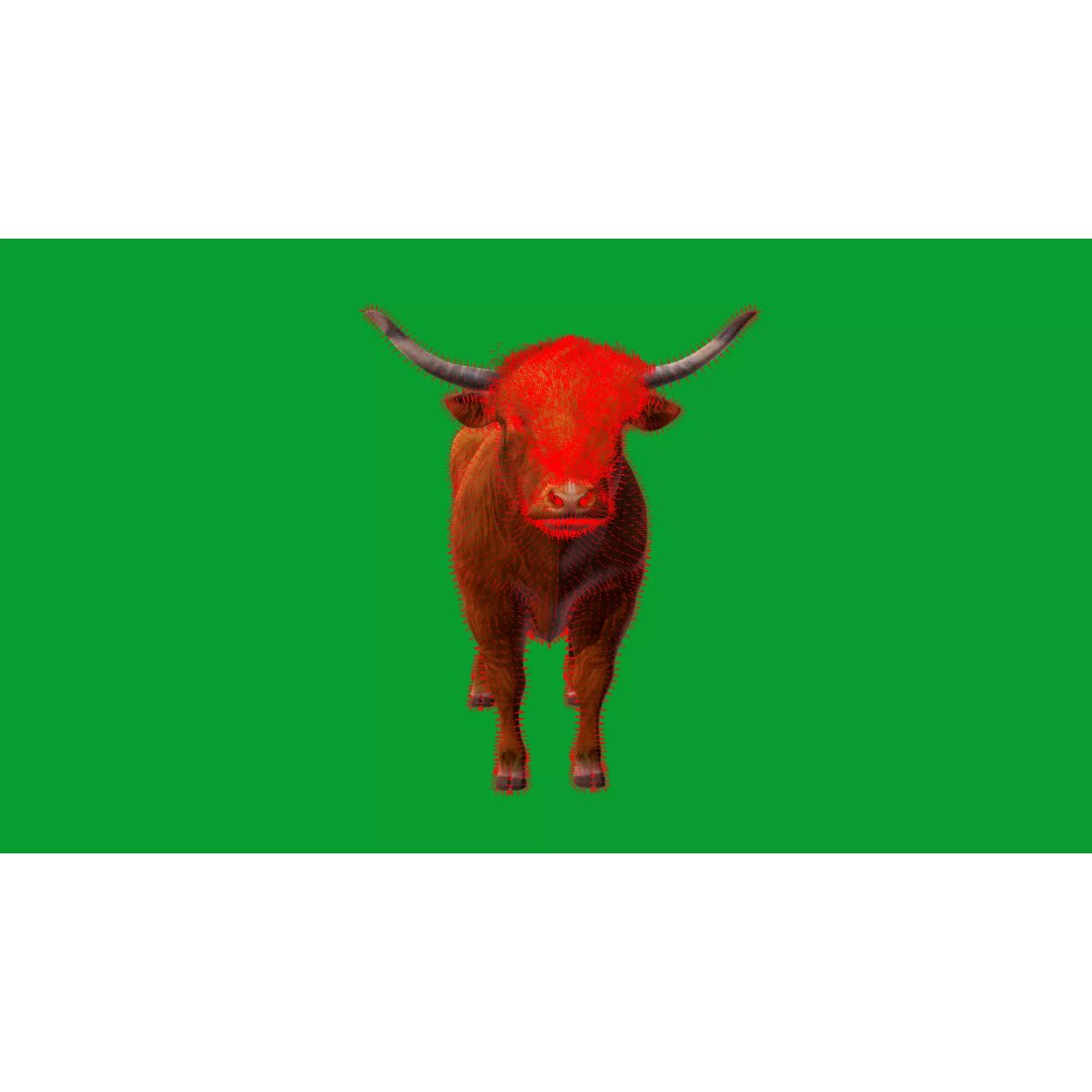 Highland Cattle 3D Model – Low Poly Game Ready Rigged Animal - View 39