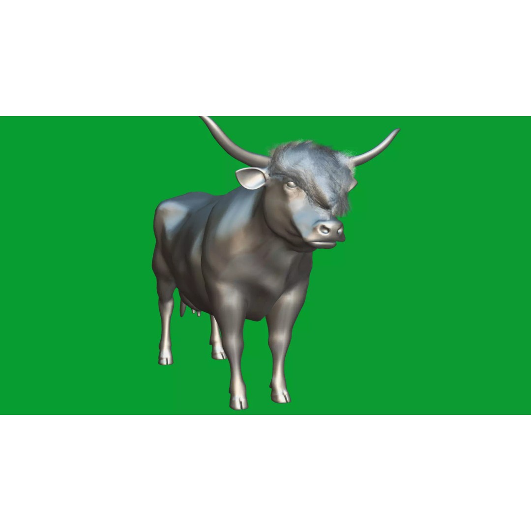 Highland Cattle 3D Model – Low Poly Game Ready Rigged Animal - View 40