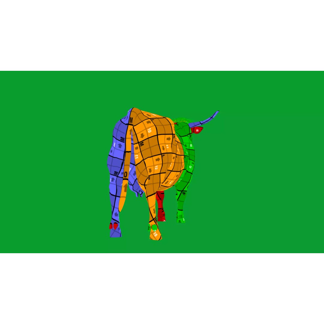 Highland Cattle 3D Model – Low Poly Game Ready Rigged Animal - View 43