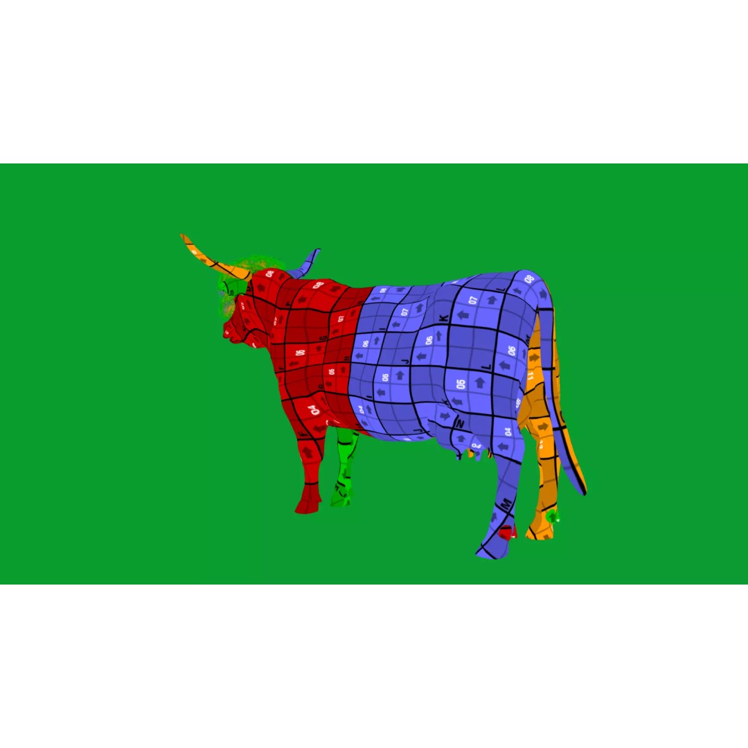 Highland Cattle 3D Model – Low Poly Game Ready Rigged Animal - View 44