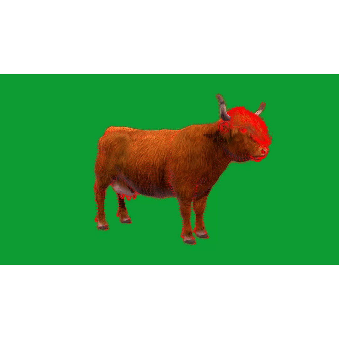 Highland Cattle 3D Model – Low Poly Game Ready Rigged Animal - View 45