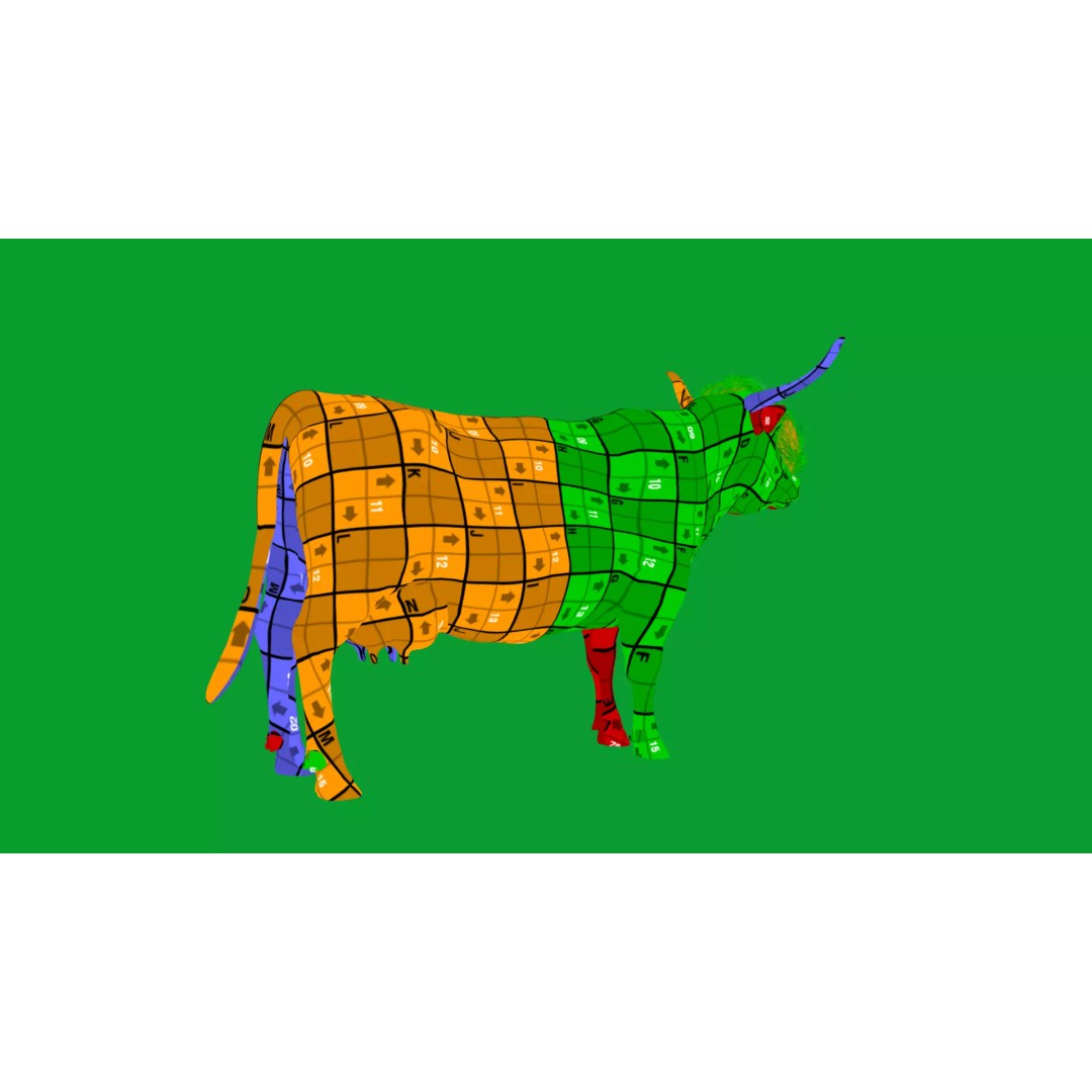 Highland Cattle 3D Model – Low Poly Game Ready Rigged Animal - View 46