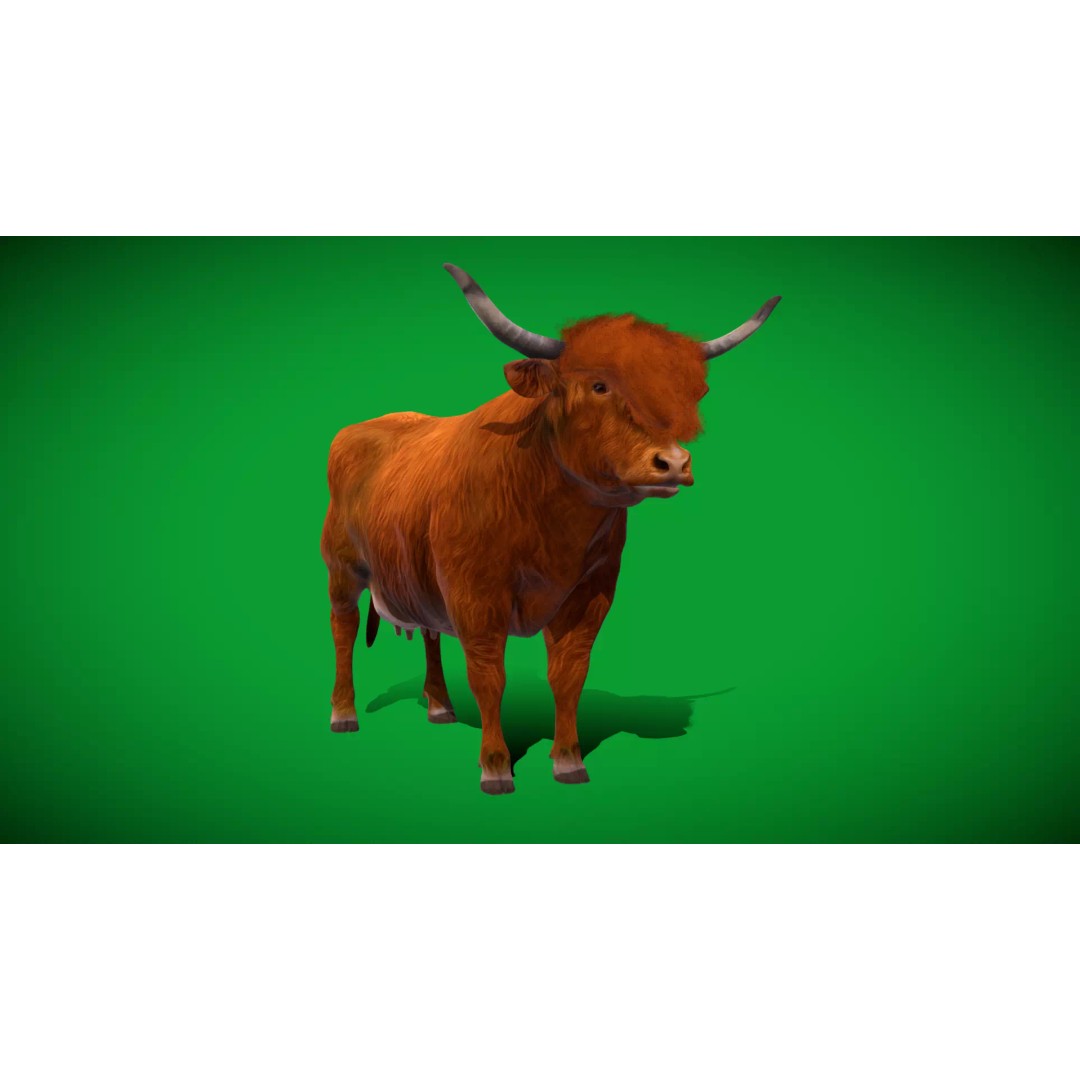 Highland Cattle 3D Model – Low Poly Game Ready Rigged Animal - View 51