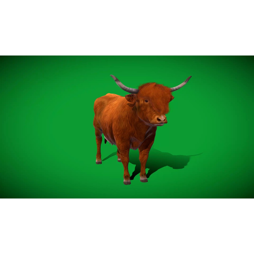 Highland Cattle 3D Model – Low Poly Game Ready Rigged Animal - View 53