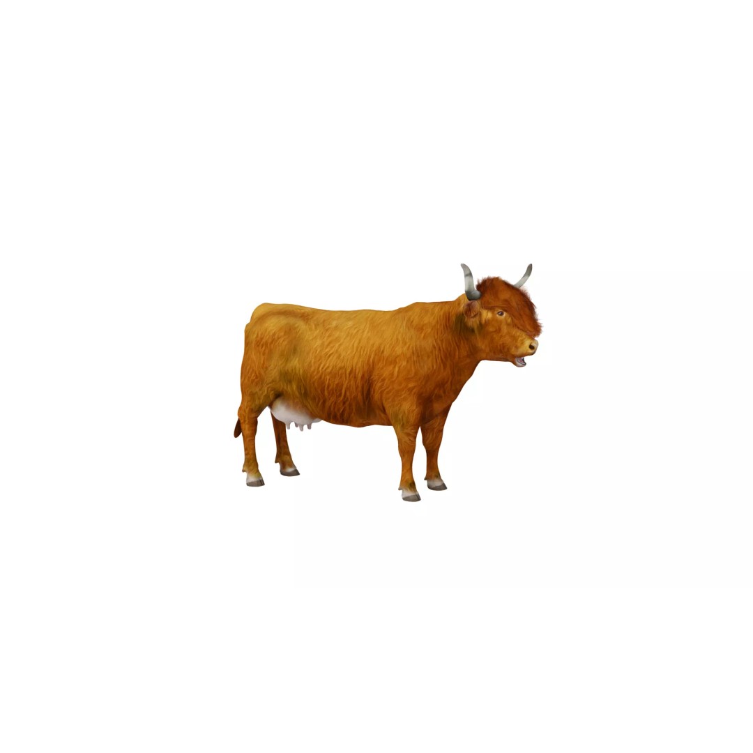 Highland Cattle 3D Model – Low Poly Game Ready Rigged Animal - View 7