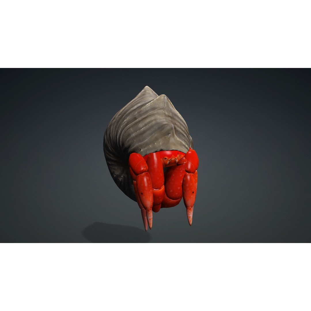 Hermit Crab 3D Model – Rigged Animated Asset with PBR Textures - View 10
