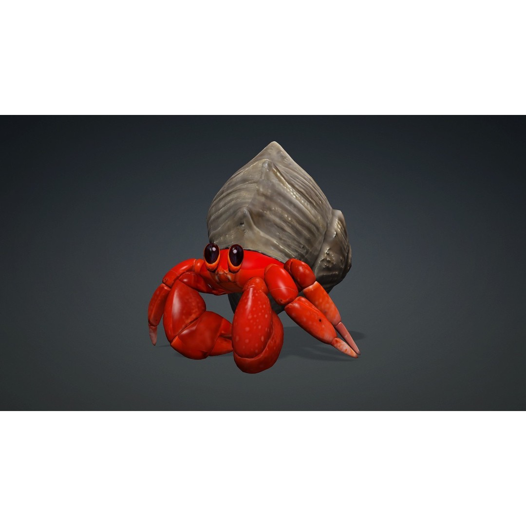 Hermit Crab 3D Model – Rigged Animated Asset with PBR Textures - View 11