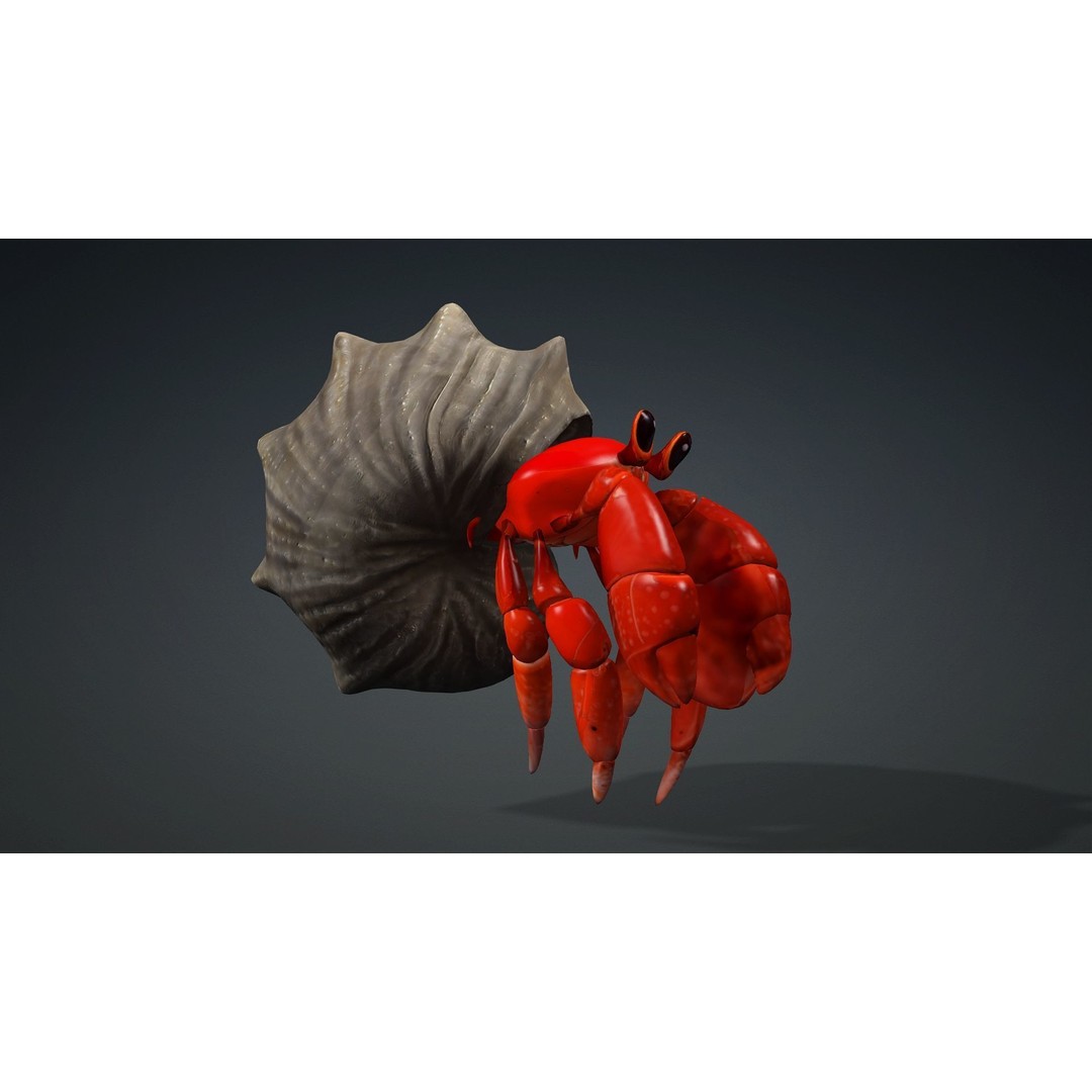 Hermit Crab 3D Model – Rigged Animated Asset with PBR Textures - View 12