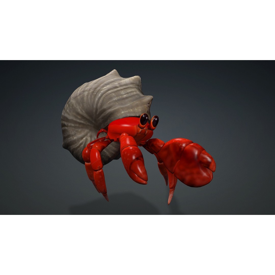 Hermit Crab 3D Model – Rigged Animated Asset with PBR Textures - View 13