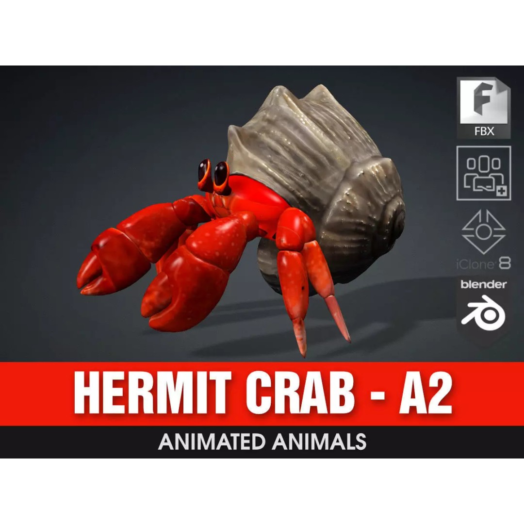 Hermit Crab 3D Model – Rigged Animated Asset with PBR Textures - View 2
