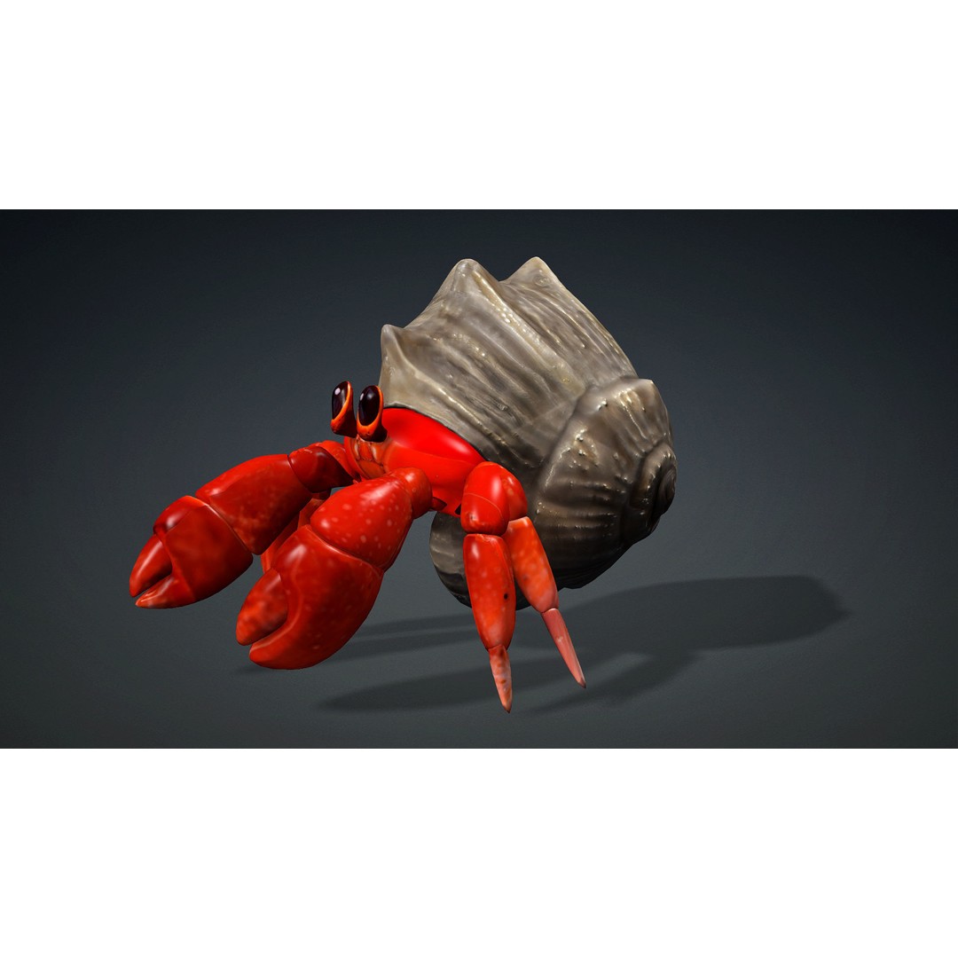 Hermit Crab 3D Model – Rigged Animated Asset with PBR Textures - View 3