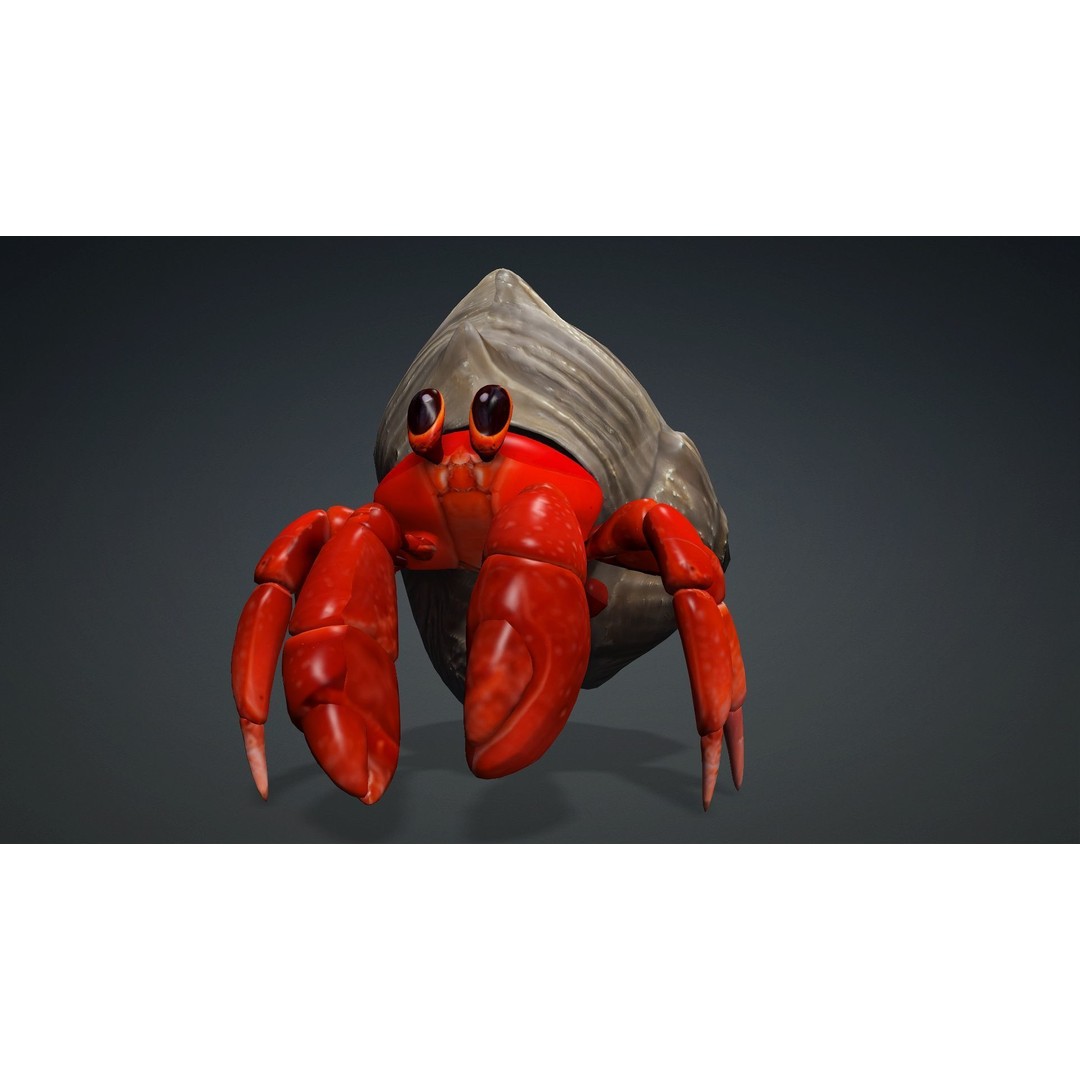 Hermit Crab 3D Model – Rigged Animated Asset with PBR Textures - View 4