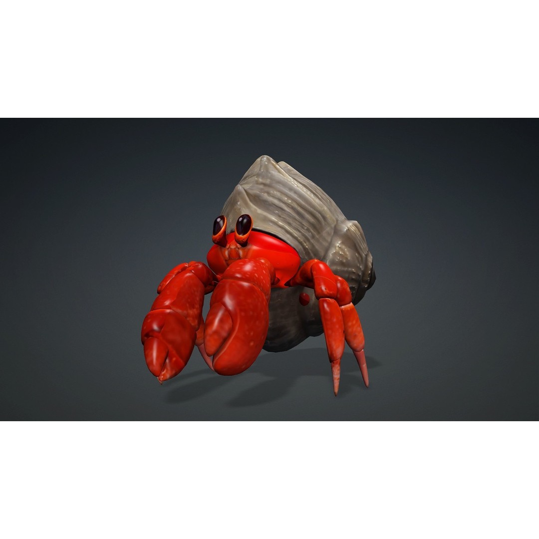 Hermit Crab 3D Model – Rigged Animated Asset with PBR Textures - View 5