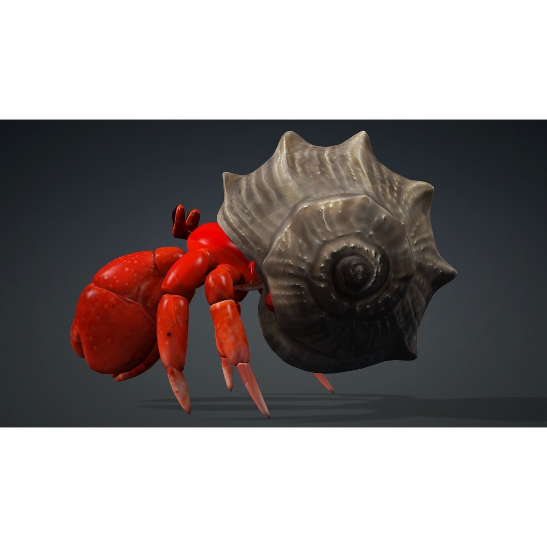 Hermit Crab 3D Model – Rigged Animated Asset with PBR Textures - View 6