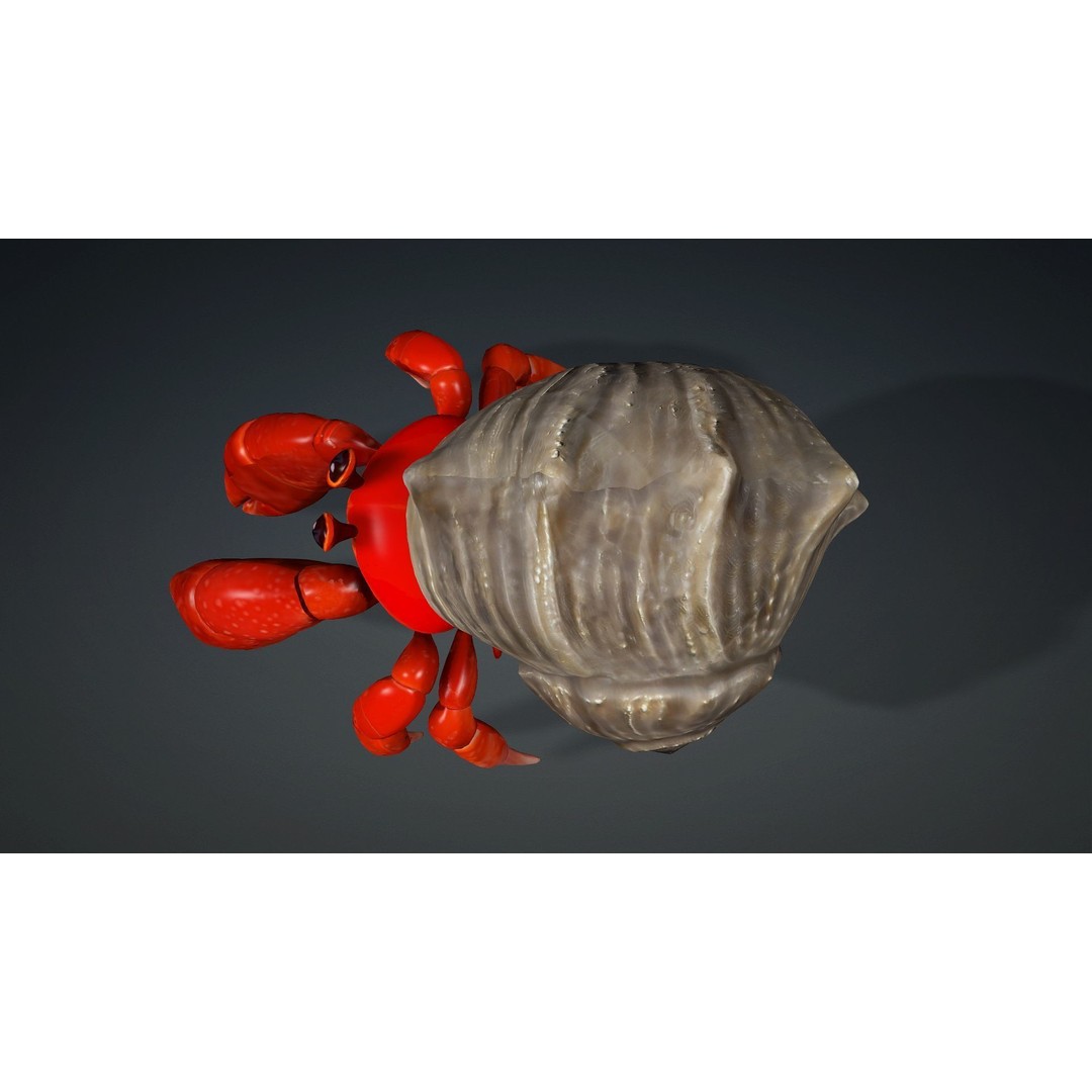 Hermit Crab 3D Model – Rigged Animated Asset with PBR Textures - View 8