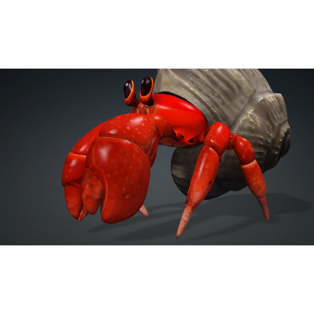 Hermit Crab 3D Model – Rigged Animated Asset with PBR Textures - View 9
