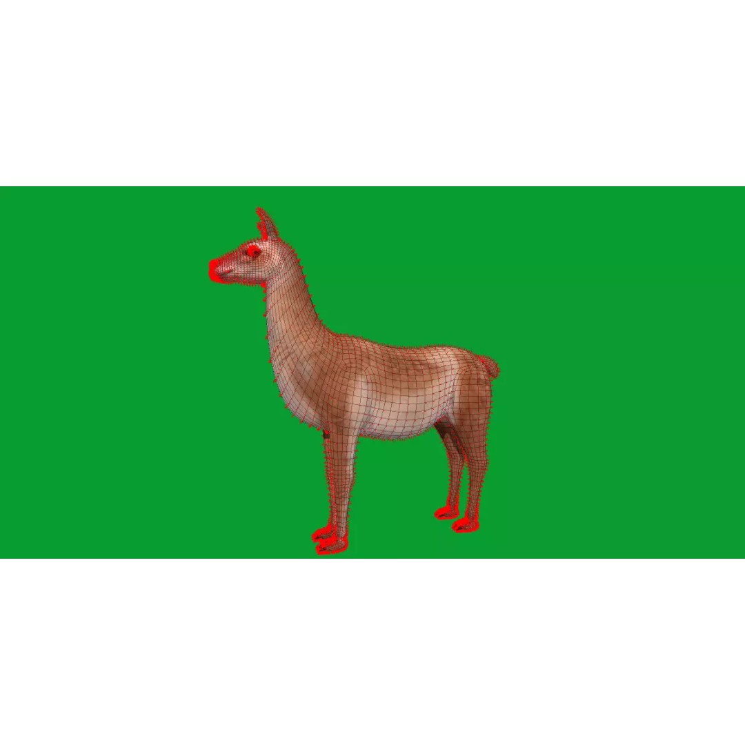 Guanaco Llama 3D Model – Low Poly Game Ready Asset, FBX, PBR - View 12