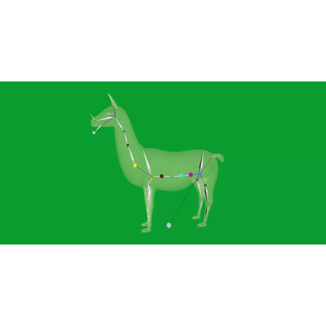 Guanaco Llama 3D Model – Low Poly Game Ready Asset, FBX, PBR - View 21