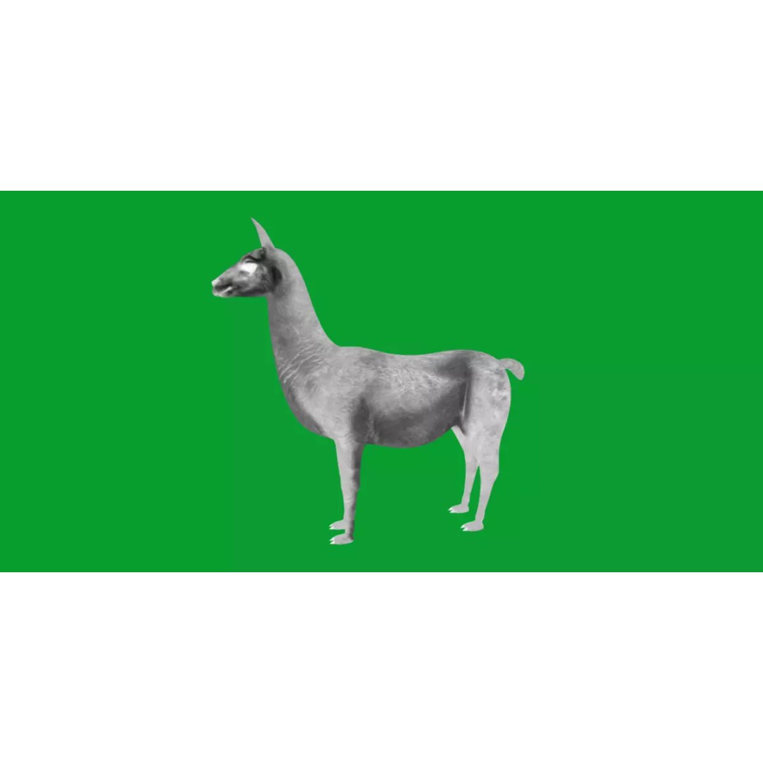 Guanaco Llama 3D Model – Low Poly Game Ready Asset, FBX, PBR - View 26