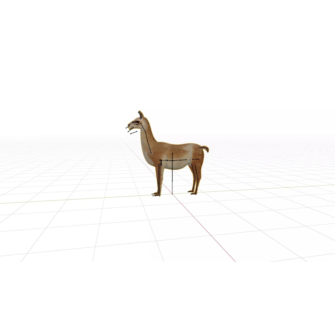 Guanaco Llama 3D Model – Low Poly Game Ready Asset, FBX, PBR - View 33
