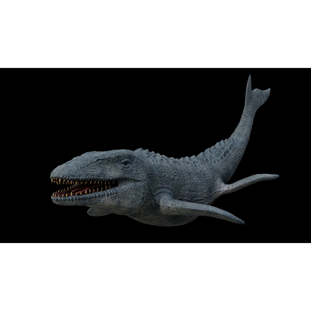 Mosasaurus 3D Model – Low Poly Rigged Sea Dinosaur, FBX - View 10