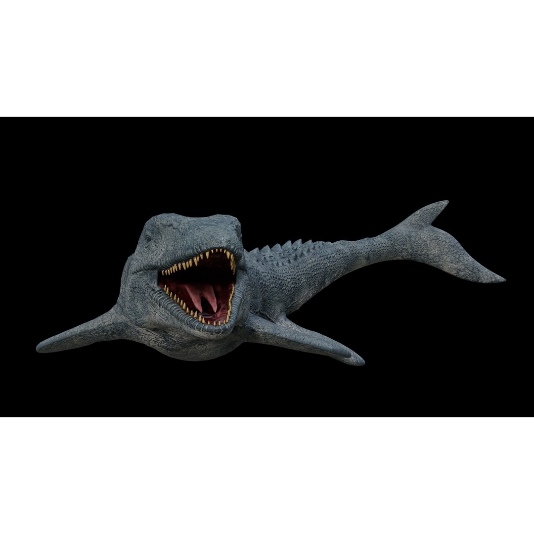 Mosasaurus 3D Model – Low Poly Rigged Sea Dinosaur, FBX - View 11