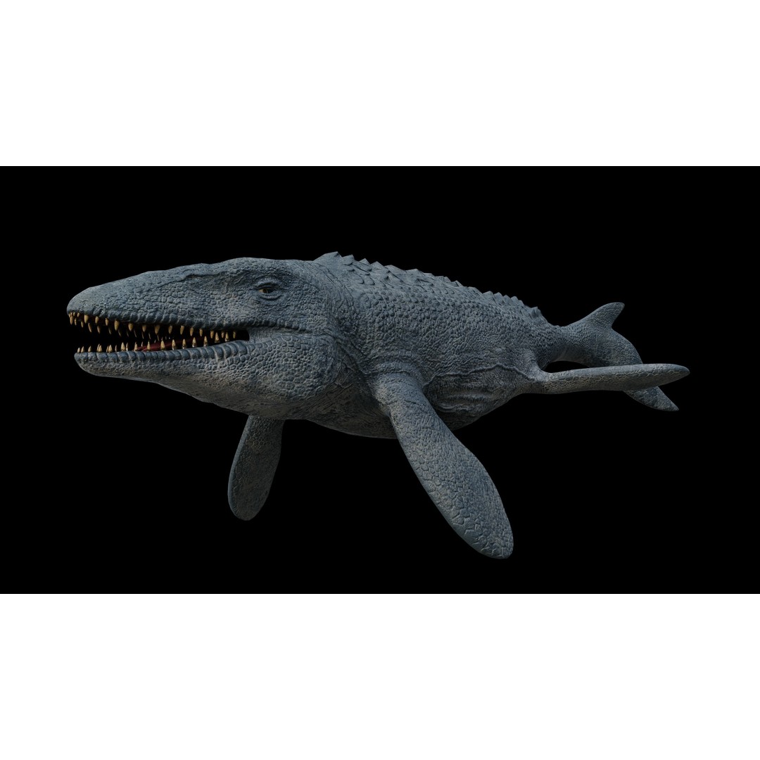 Mosasaurus 3D Model – Low Poly Rigged Sea Dinosaur, FBX - View 15