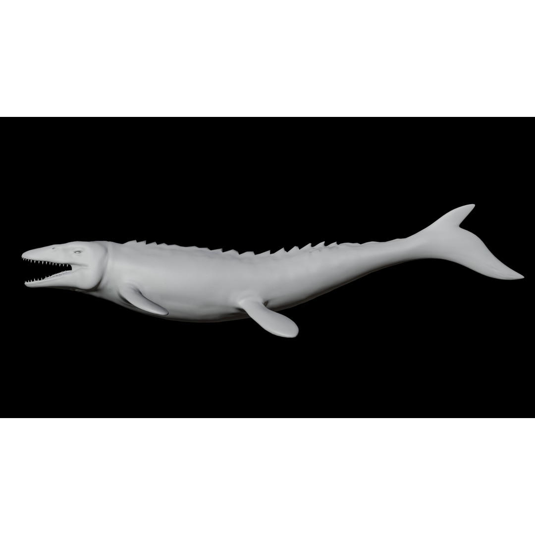 Mosasaurus 3D Model – Low Poly Rigged Sea Dinosaur, FBX - View 18