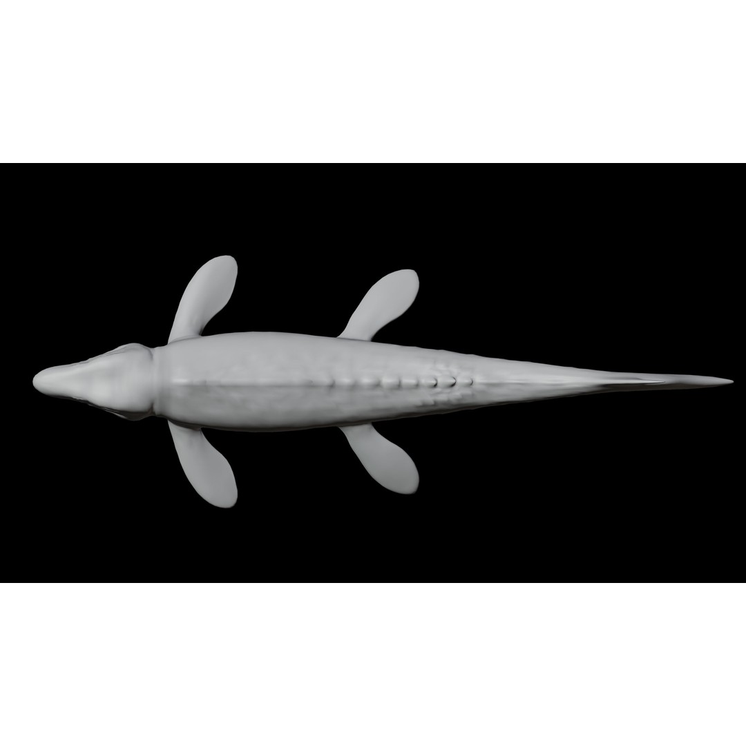 Mosasaurus 3D Model – Low Poly Rigged Sea Dinosaur, FBX - View 19