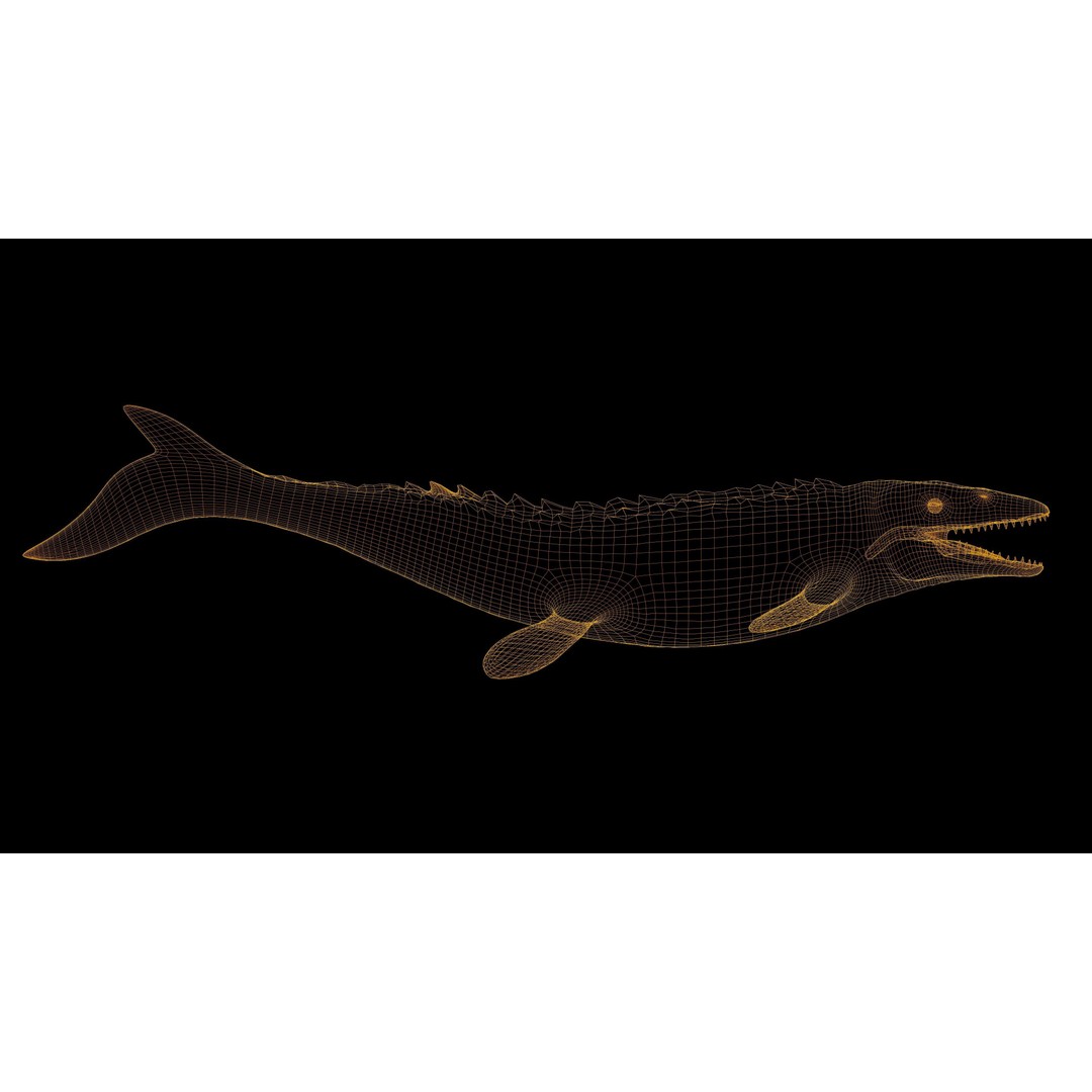 Mosasaurus 3D Model – Low Poly Rigged Sea Dinosaur, FBX - View 20
