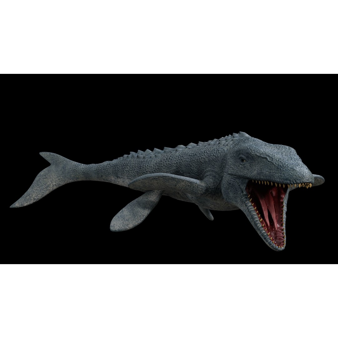 Mosasaurus 3D Model – Low Poly Rigged Sea Dinosaur, FBX - View 29