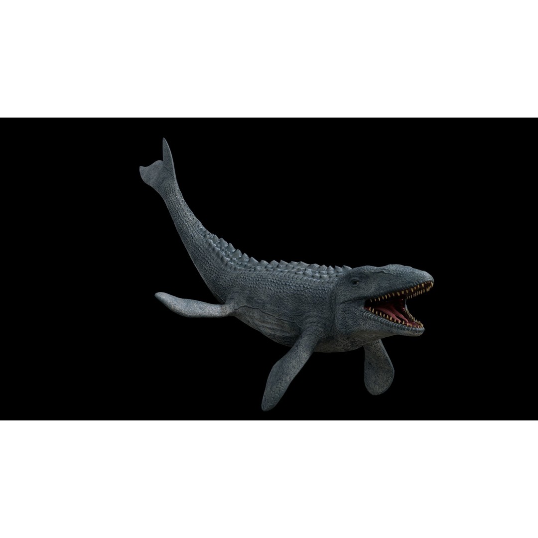 Mosasaurus 3D Model – Low Poly Rigged Sea Dinosaur, FBX - View 30