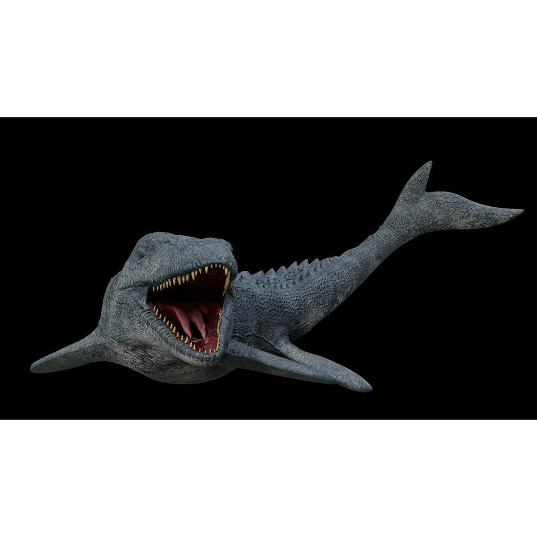 Mosasaurus 3D Model – Low Poly Rigged Sea Dinosaur, FBX - View 32