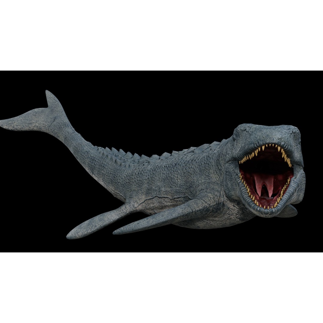 Mosasaurus 3D Model – Low Poly Rigged Sea Dinosaur, FBX - View 34