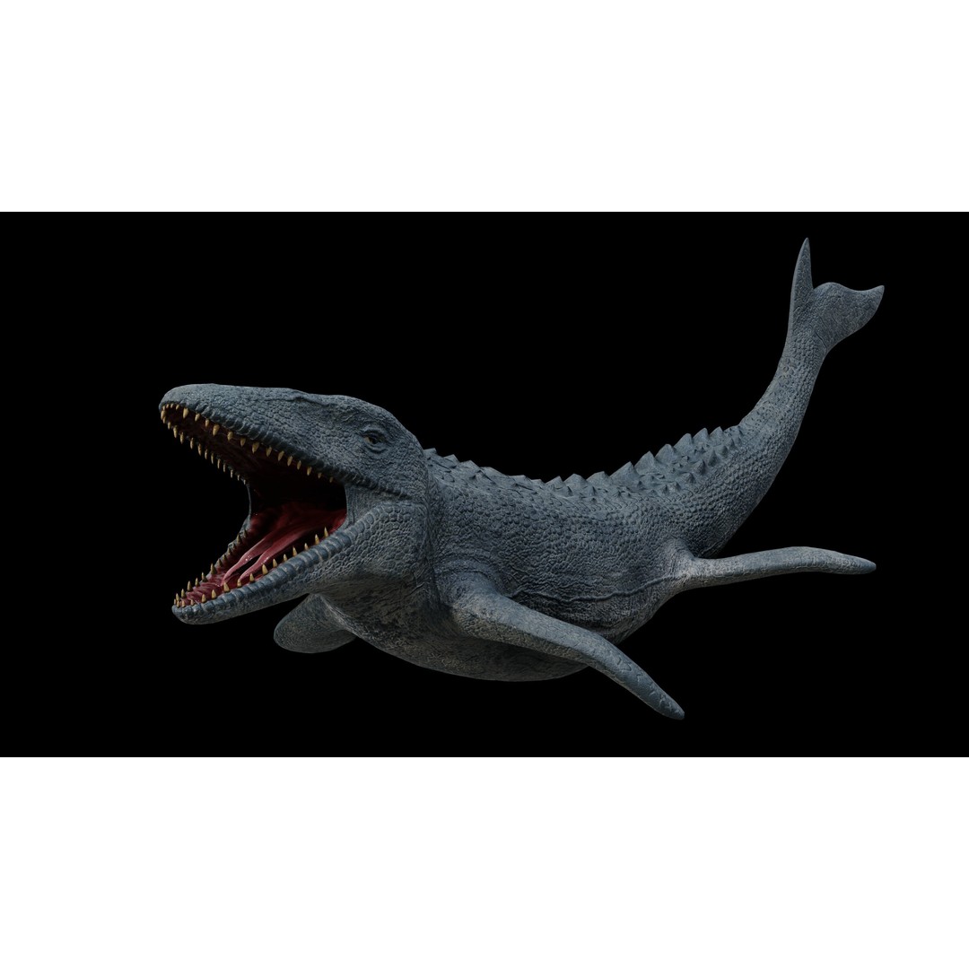 Mosasaurus 3D Model – Low Poly Rigged Sea Dinosaur, FBX - View 35