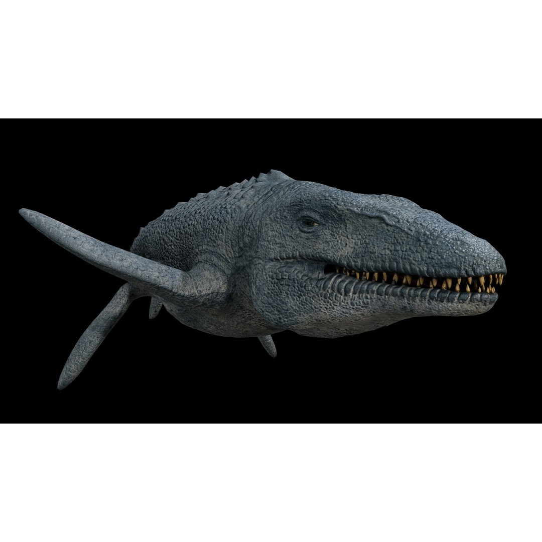Mosasaurus 3D Model – Low Poly Rigged Sea Dinosaur, FBX - View 38