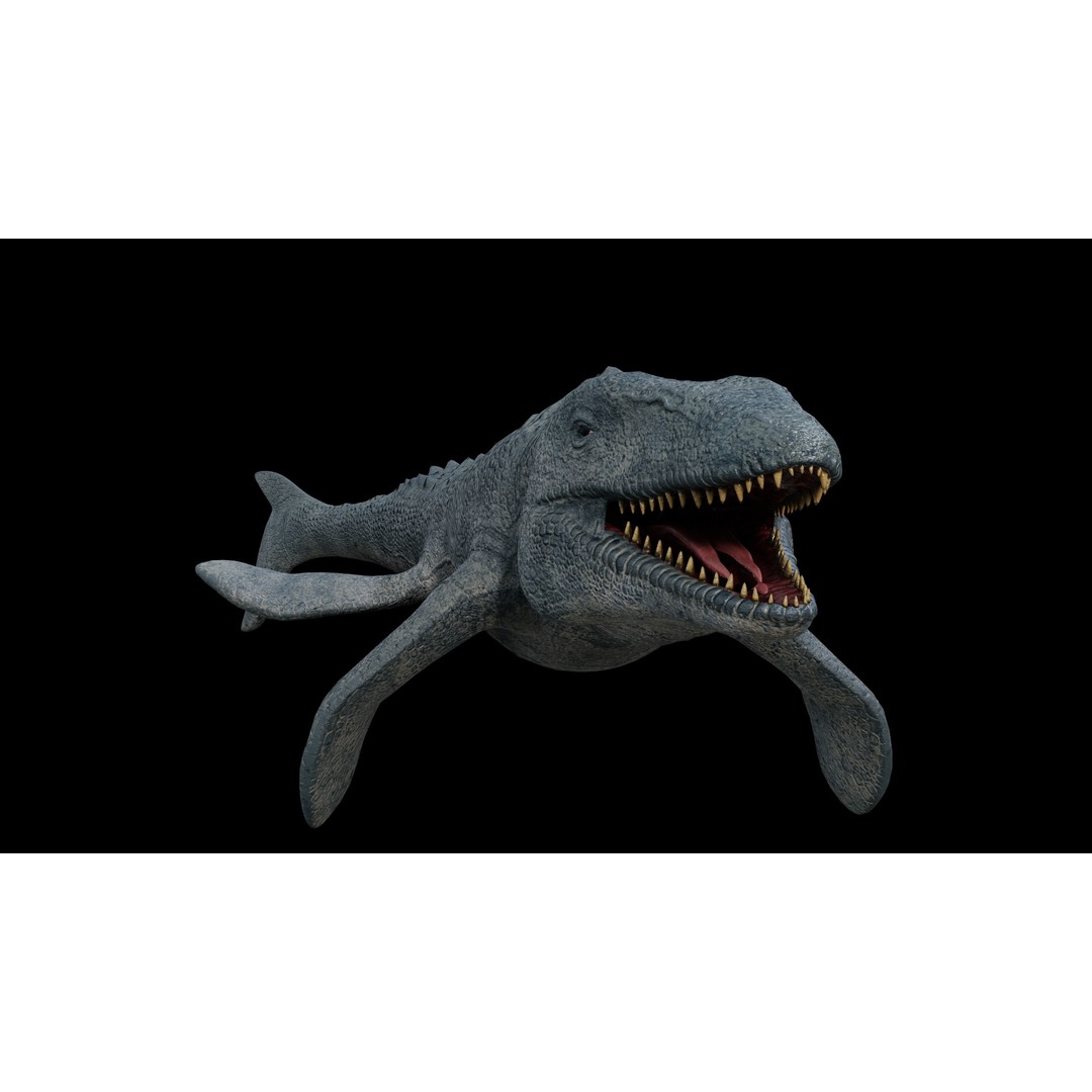 Mosasaurus 3D Model – Low Poly Rigged Sea Dinosaur, FBX - View 5