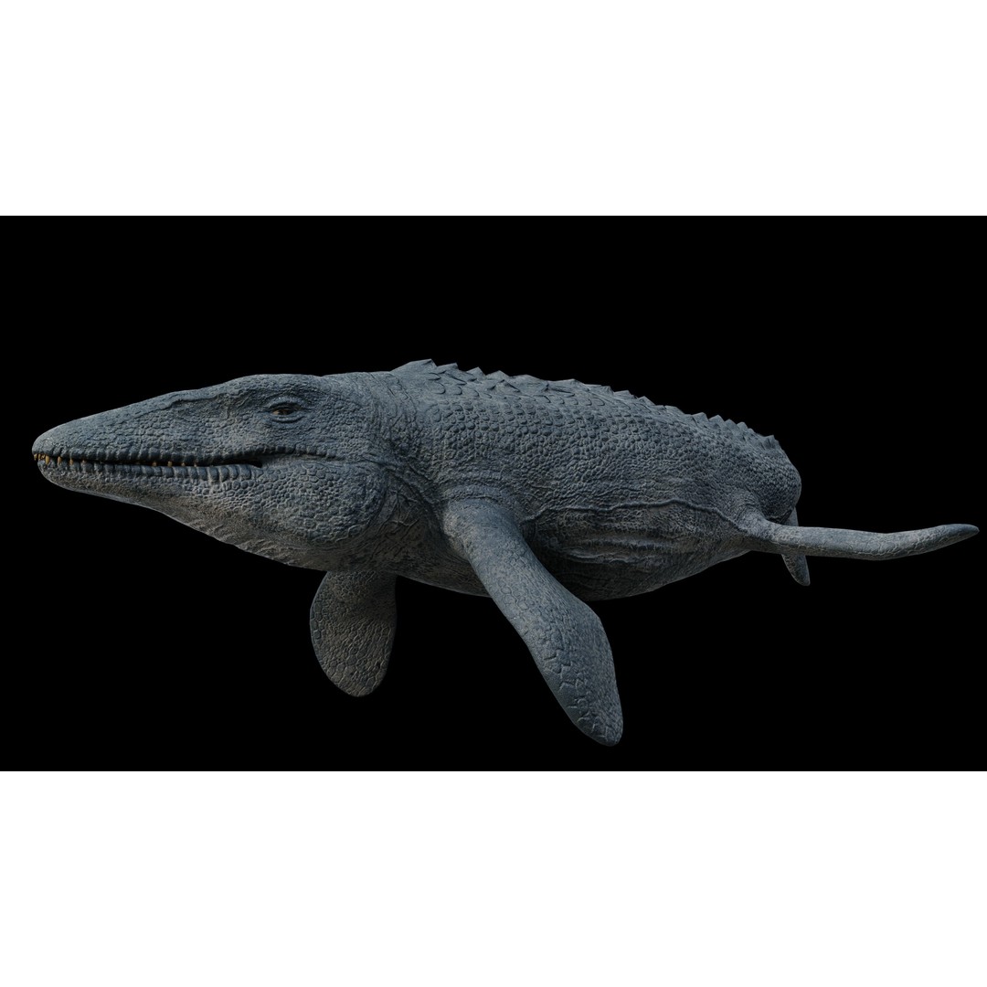 Mosasaurus 3D Model – Low Poly Rigged Sea Dinosaur, FBX - View 6