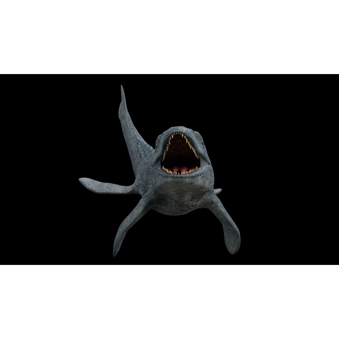 Mosasaurus 3D Model – Low Poly Rigged Sea Dinosaur, FBX - View 8