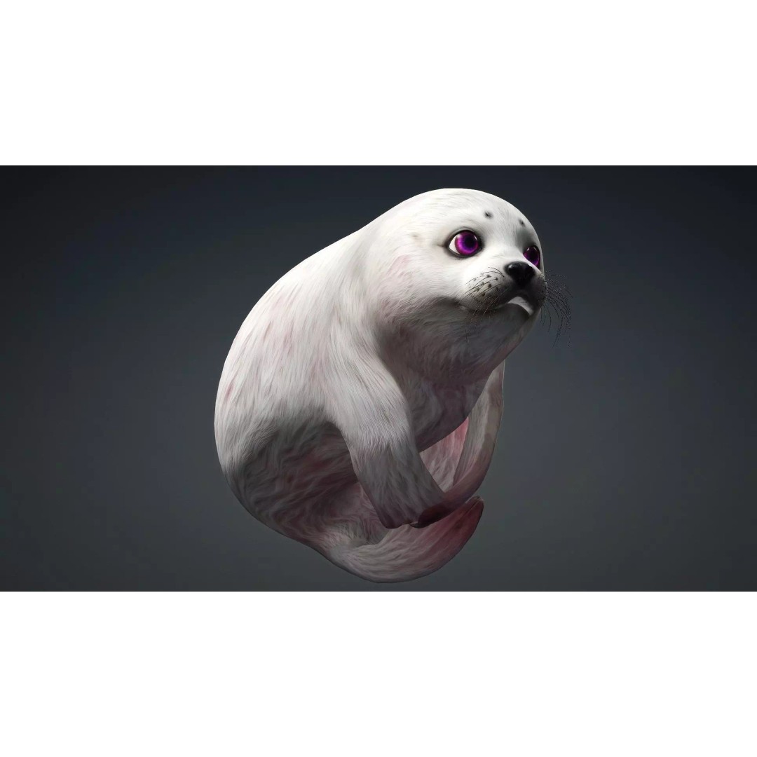Harp Seal 3D Model – Low Poly Rigged Animal for Animation - View 10
